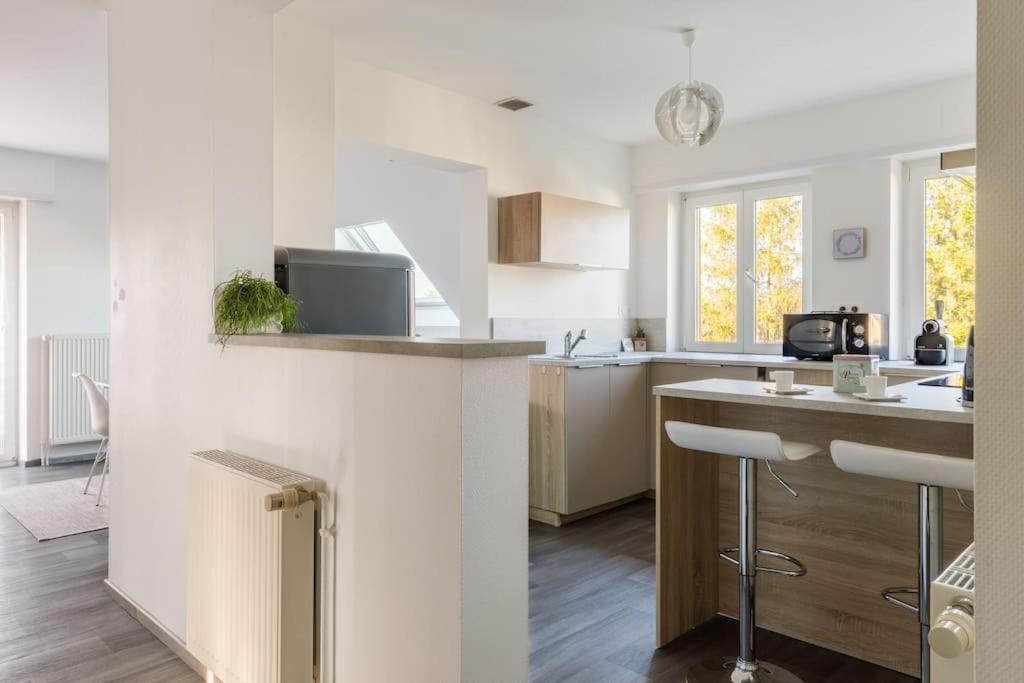Appartement Climatise 70 M2, Proximite De Colmar Sainte-Croix-en-Plaine Ngoại thất bức ảnh
