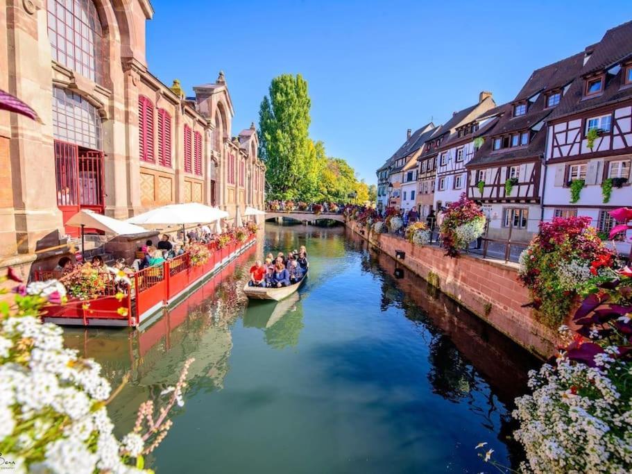Appartement Climatise 70 M2, Proximite De Colmar Sainte-Croix-en-Plaine Ngoại thất bức ảnh