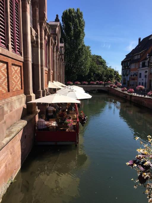 Appartement Climatise 70 M2, Proximite De Colmar Sainte-Croix-en-Plaine Ngoại thất bức ảnh